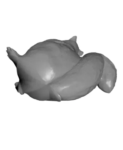 Squirell holding a Heart