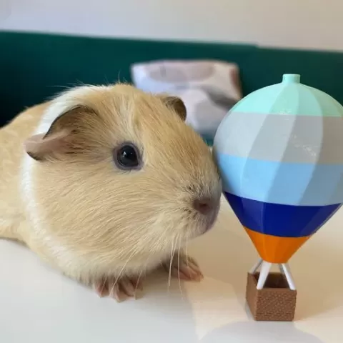 Hot Air Balloon Decorations