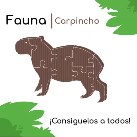 Capybara Puzzle - Puzzle Capibara