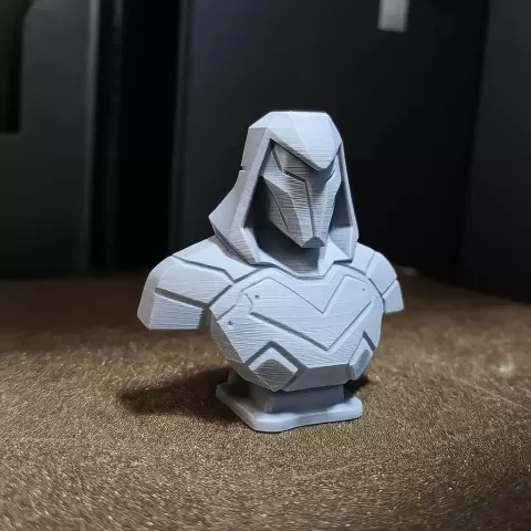 Warrior - Swotar