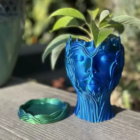 The Woman's Head Planter Vase With Drain Holes and Water Catch tray SUPPORT FREE