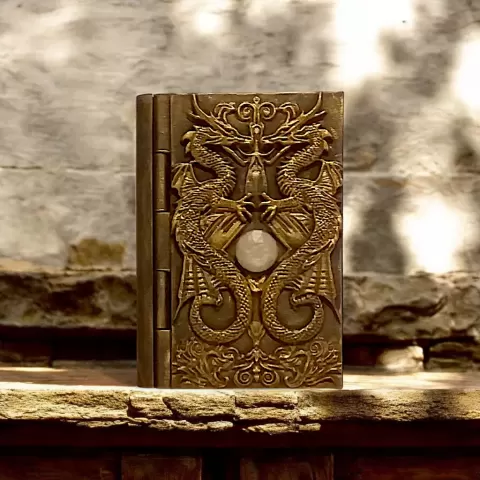 Dragons Book Storage