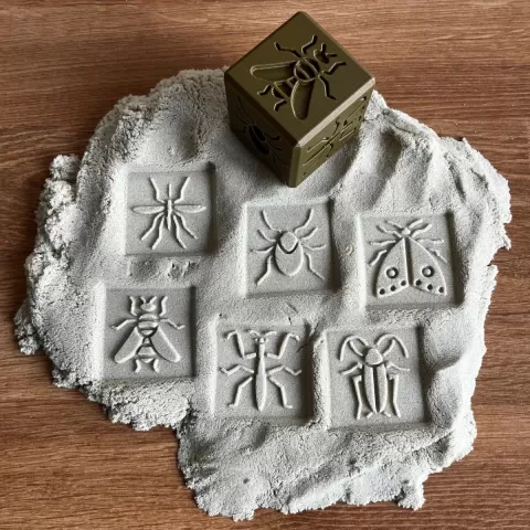 Educational INSECT IMPRESSION Cube for sensory play - LAYERS and LINES