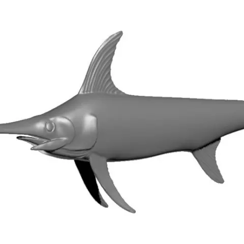 Swordfish