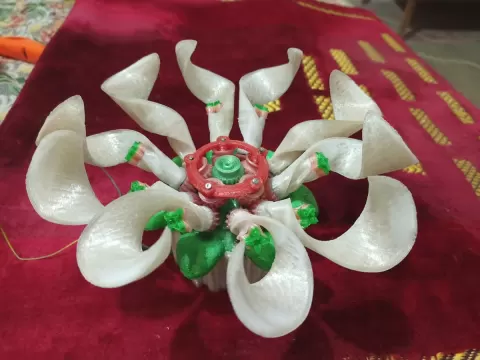 Rotating Flower