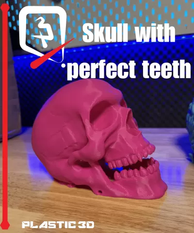 Skull W Perfect Teeth