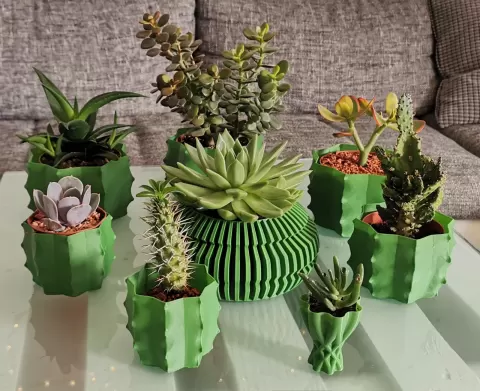 cactus vase - vasemode