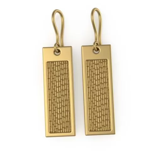 AC-EARRING-021