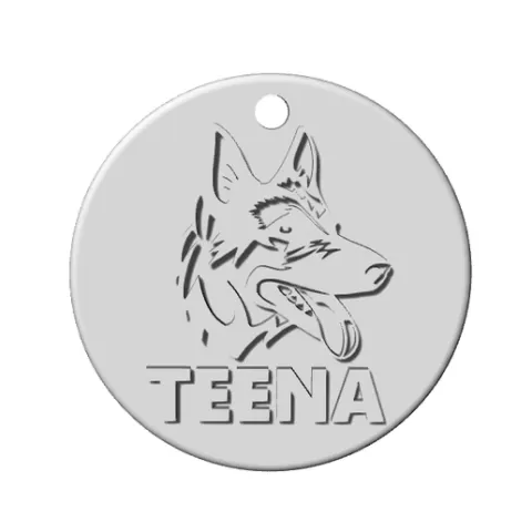 Name tag for your pet
