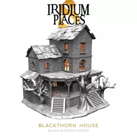 IP8H0 Blackthorn House :: Iridium Places 8 Village of Despair :: Black Blossom Games by Black Blossom Games