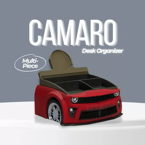 Camaro Style Organizer