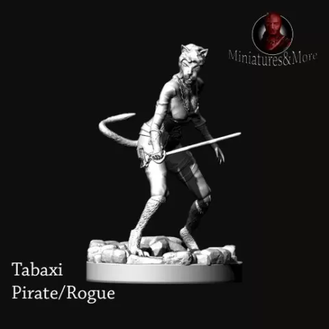 Miniature Tabaxi Pirate