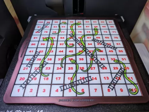 Snakes and Ladders