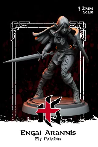 Engal Arannis - Elf Paladin