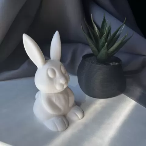 BUNNY