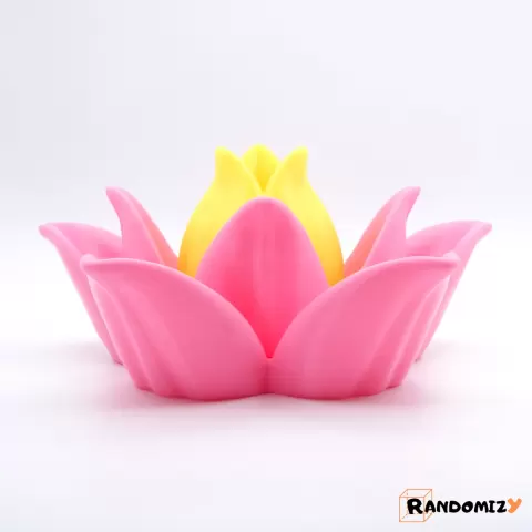 (Multifunctional) Lotus Flower