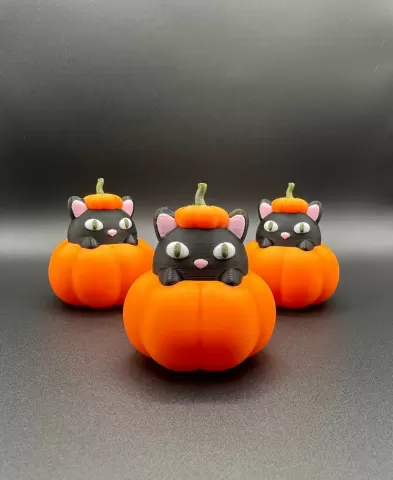 Cat in Pumpkin