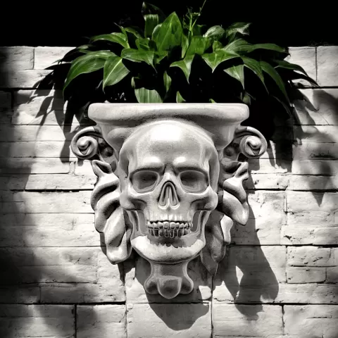 SKULL WALL POT