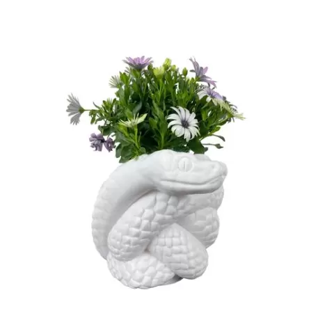 Snake Vase
