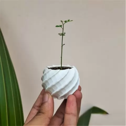Spherical Tiny Planter Pot
