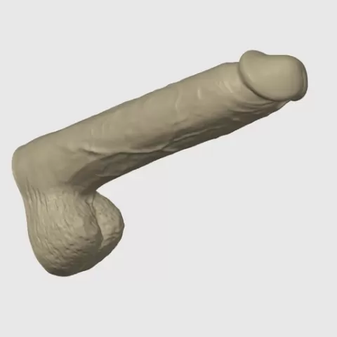 Realistic Dildo