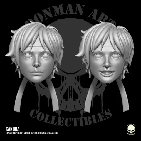 Sakura Street Fighter Fan Art 3D printable files for action figures by Esteban Cifuentes