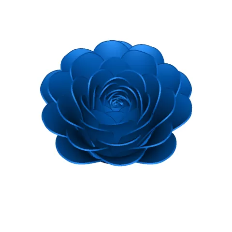 rose - Jake Nelson