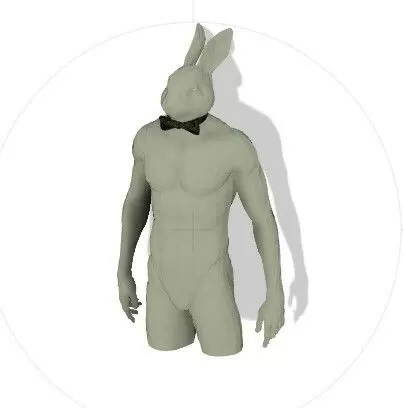 Rabbit With Sensual Position
