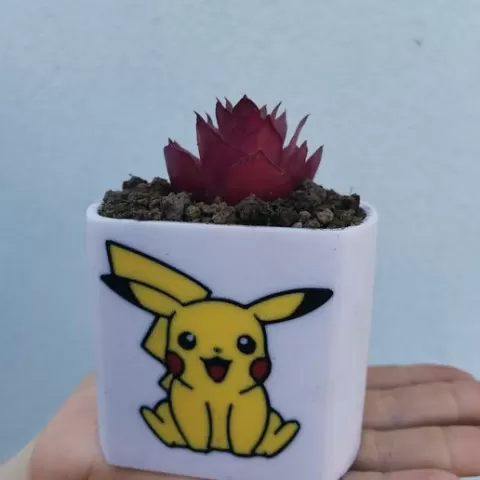 Pikachu planter for multicolor capable printers