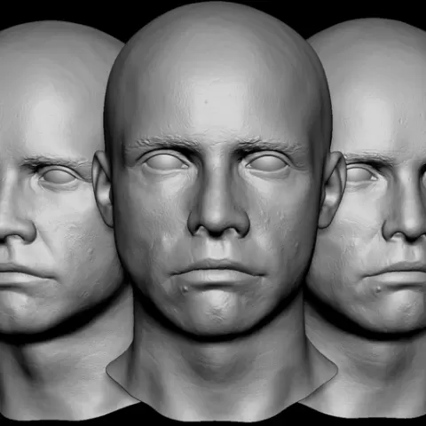 Mark Hamill Star Wars Luke Skywalker Life Size Super High Detail Clean Up Scan Life Cast Digtital Model