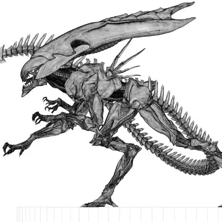 Reina Alien Xenomorfo - Drak68