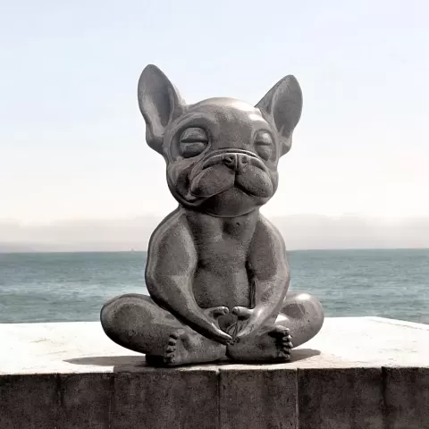 Frenchy Meditating
