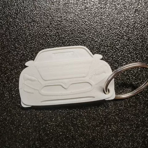 Tesla Key Chain