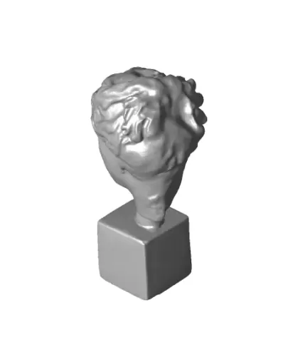 Noble Lady（generated by Revopoint POP）