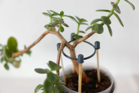 Flower supports