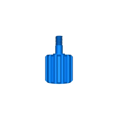 web cam bolt - Ch