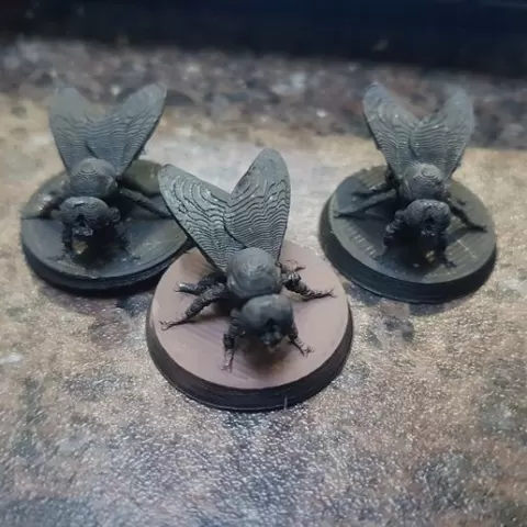 Fly on a 25mm Base