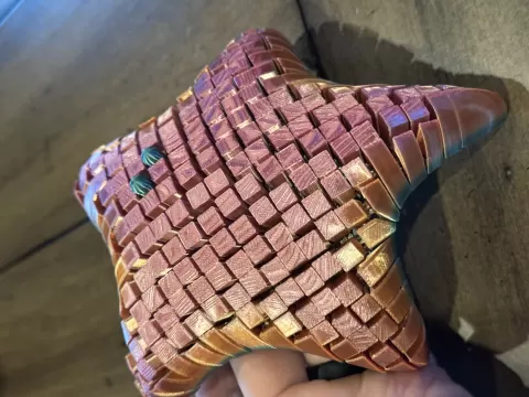 Starfish Remix