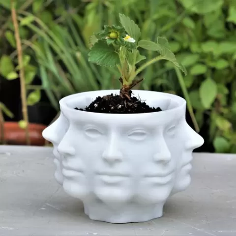 Polyface PLANTER - PLANTER - POT
