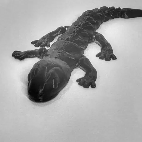 Slithery Sally
