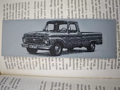 Ford F100
