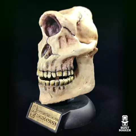 Cyclops Skull by Bust Maker