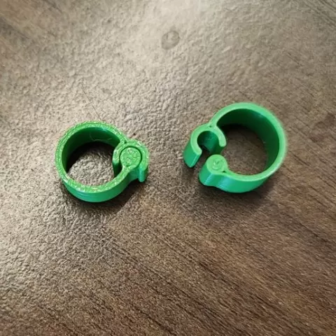 Quail Rings / Quail Rings