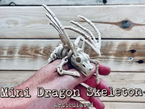 Mini Dragon Skeleton