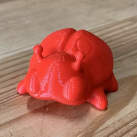 ladybug