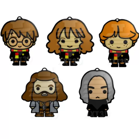 Pack 5 Harry Potter Keychains