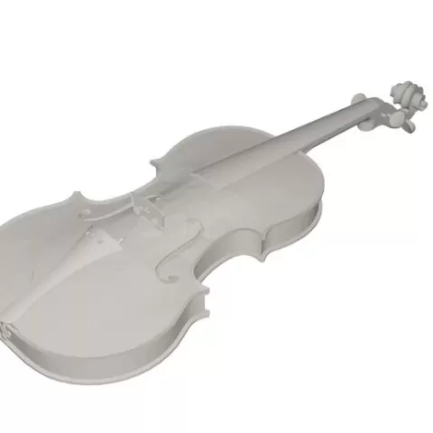 Violin