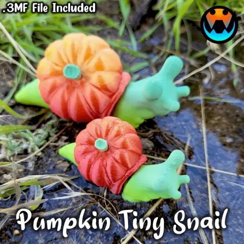 Tiny Pumpkin Snail