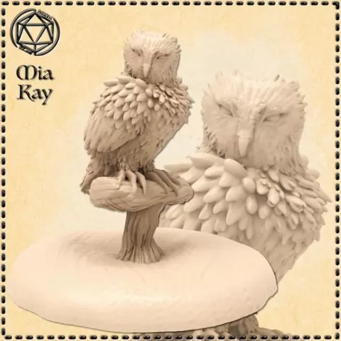 Owl Casual