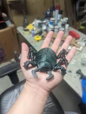 Beetle